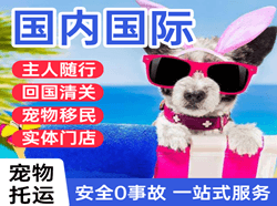 库车龟兹机场物流国际宠物托运 【国